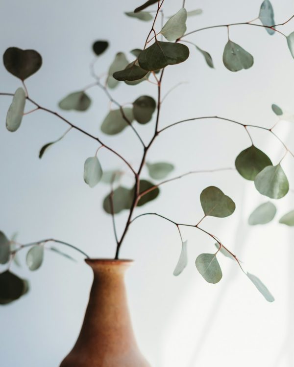 Crackle Glaze Planter